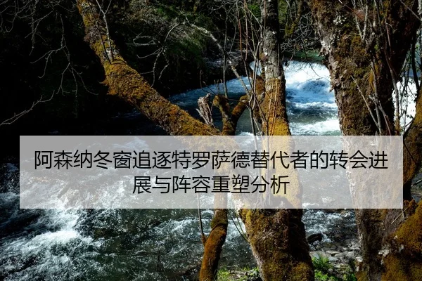 阿森纳冬窗追逐特罗萨德替代者的转会进展与阵容重塑分析